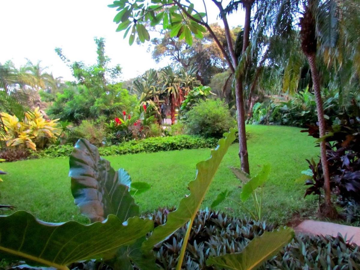 Tamarindo Condo 206 Matapalo 外观 照片